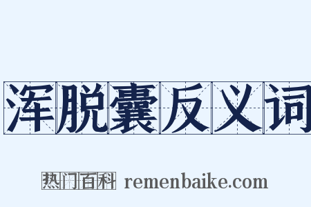 浑脱囊反义词是什么意思的图片
